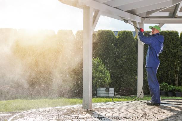 Best Boat and Dock Cleaning  in Lake Magdalene, FL