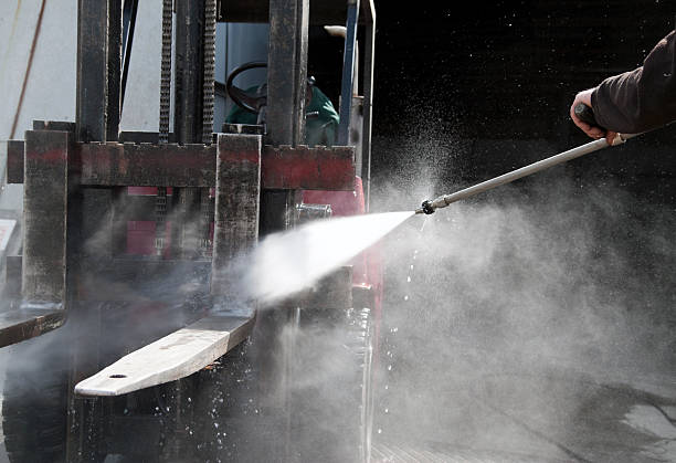 Best Dumpster Area Cleaning  in Lake Magdalene, FL