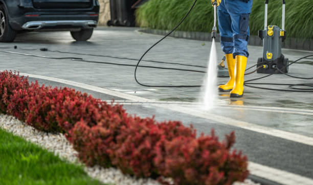 Best Pool Deck Cleaning  in Lake Magdalene, FL