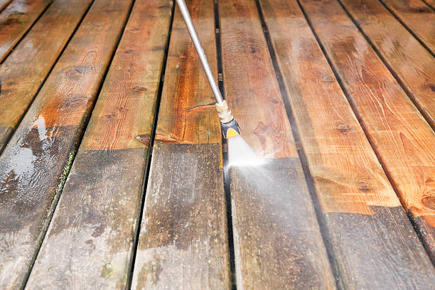 Best Driveway Pressure Washing  in Lake Magdalene, FL
